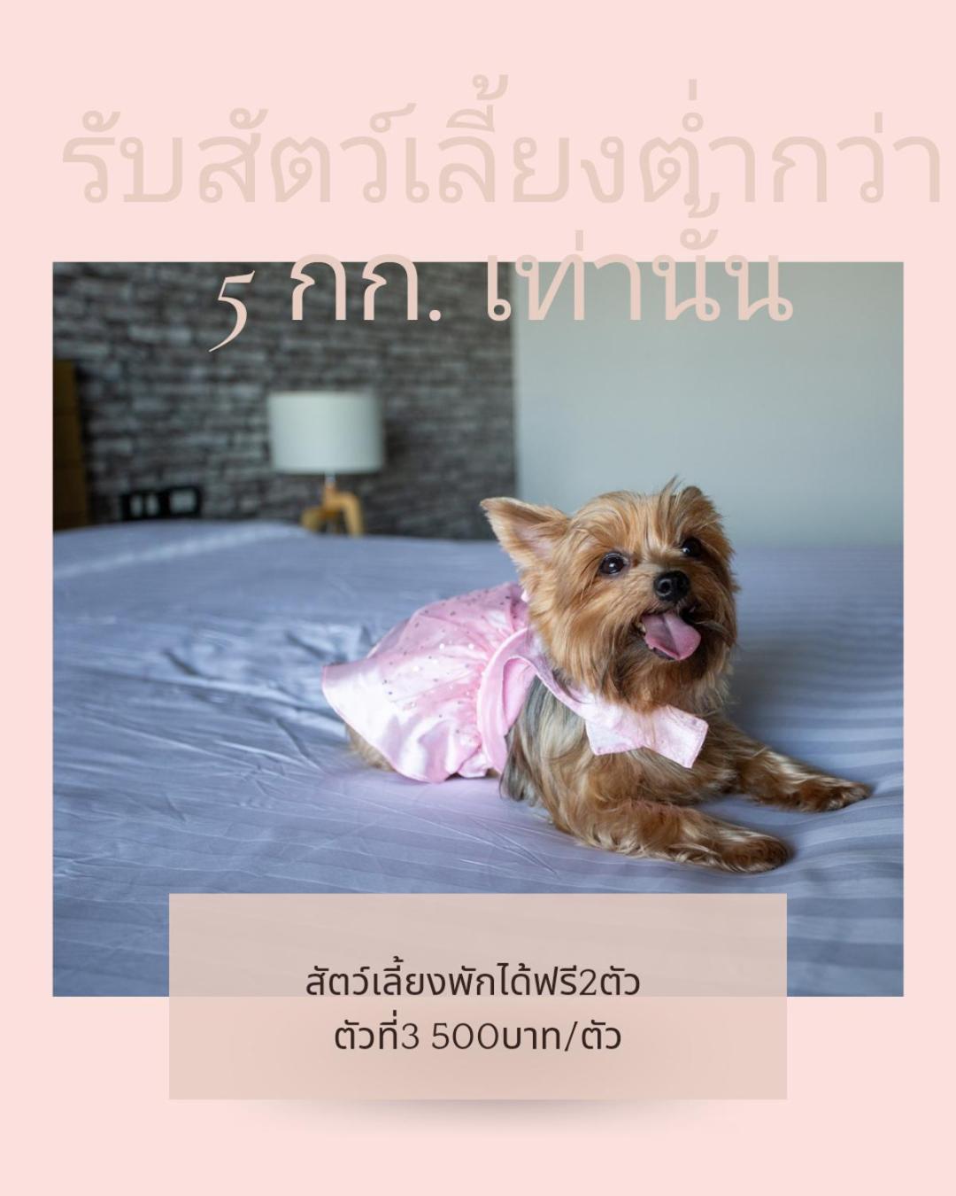 Get Zleep Premium Budget Hotel Τσιάνγκ Μάι Εξωτερικό φωτογραφία